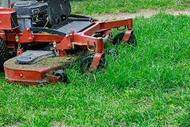 Impacts of investing in a lawn care insurance