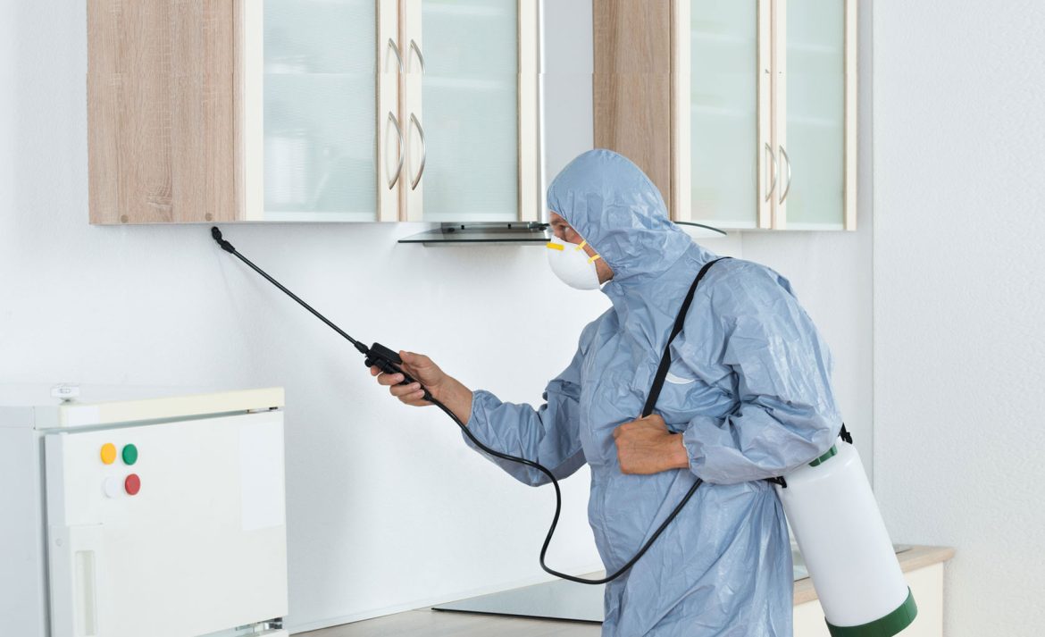 Is safe pest control effective against all types of pests?