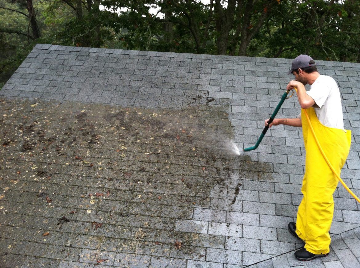 Unlocking the Advantages: Moss Removal’s Impact on Your Roof’s Health