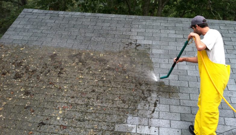 roof moss removal surrey