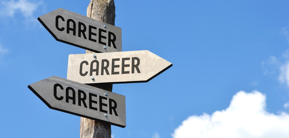 Learn How To Make The Best Decision On A Career Choice