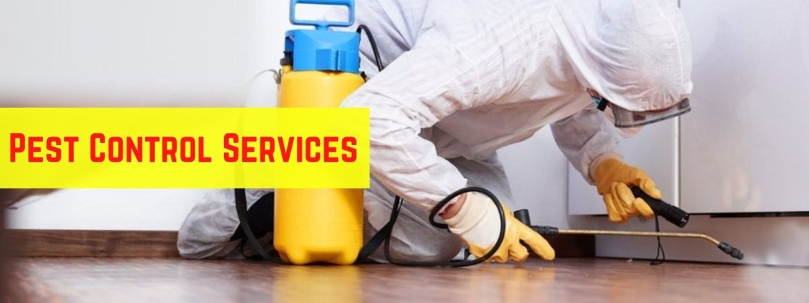 Is Hiring a Pest Control Service Will Make Your Home Clean?