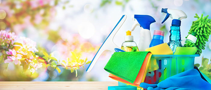 Revamp Your Living Space: The Ultimate Guide to Apartment Cleaning Services