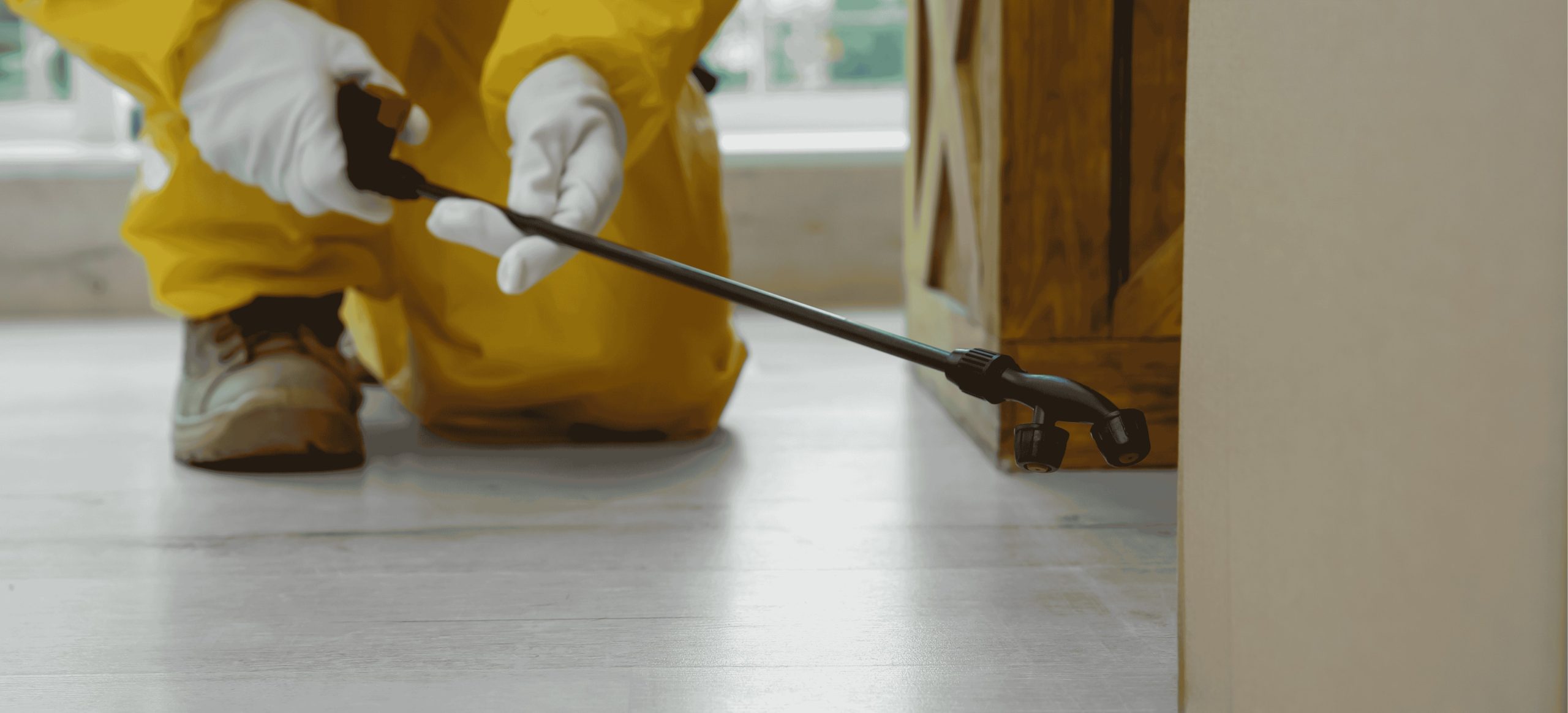 pest control services